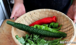 吃瓜爆料吃各种瓜老虎菜,揭秘老虎菜背后的吃瓜爆料风云